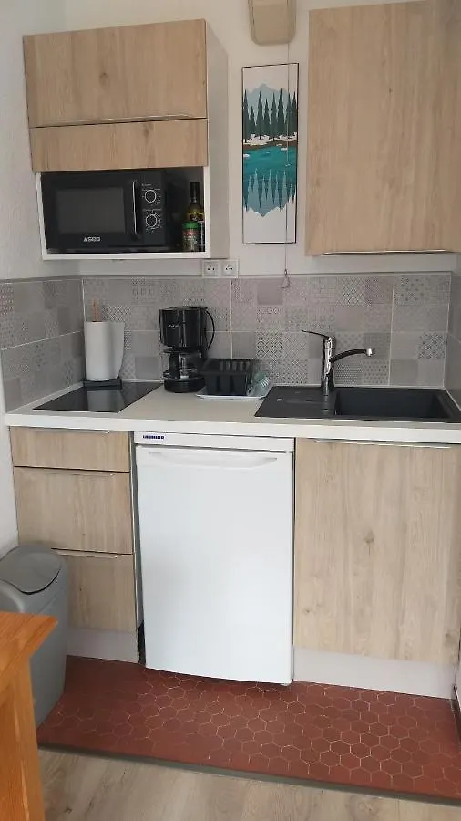 studio plein sud vue Mont Blanc CHAMONIX Appartement
