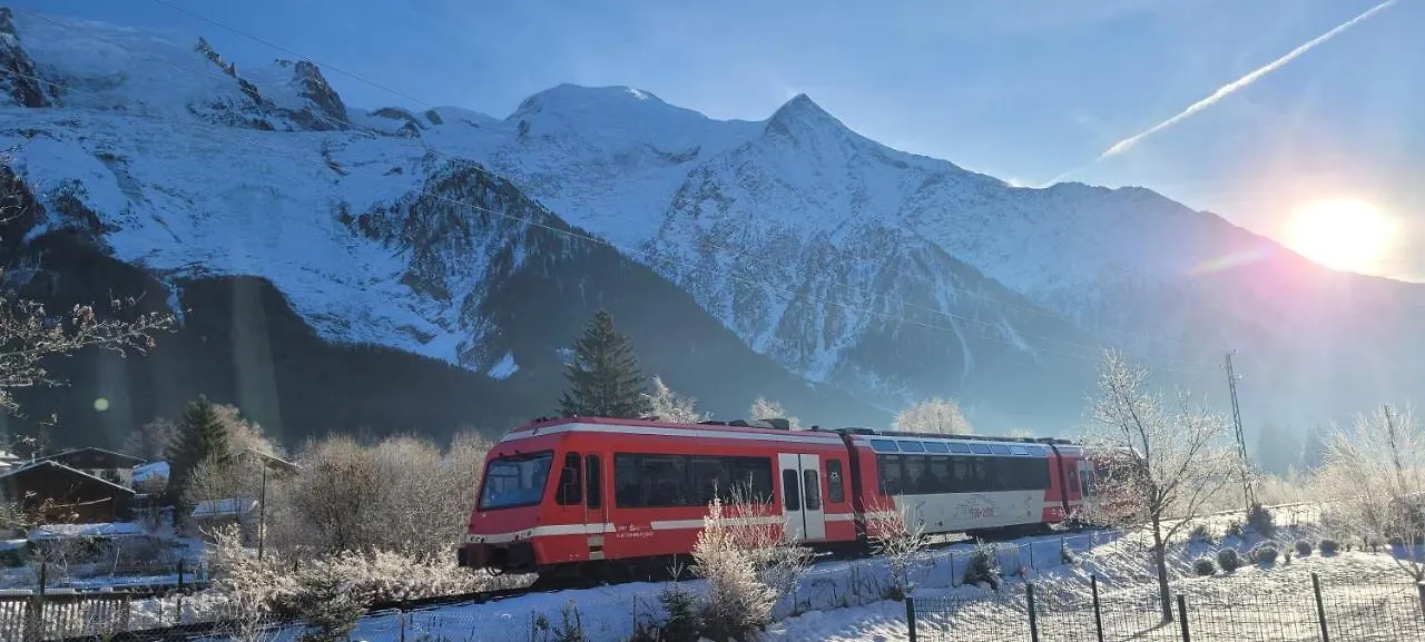 studio plein sud vue Mont Blanc CHAMONIX
