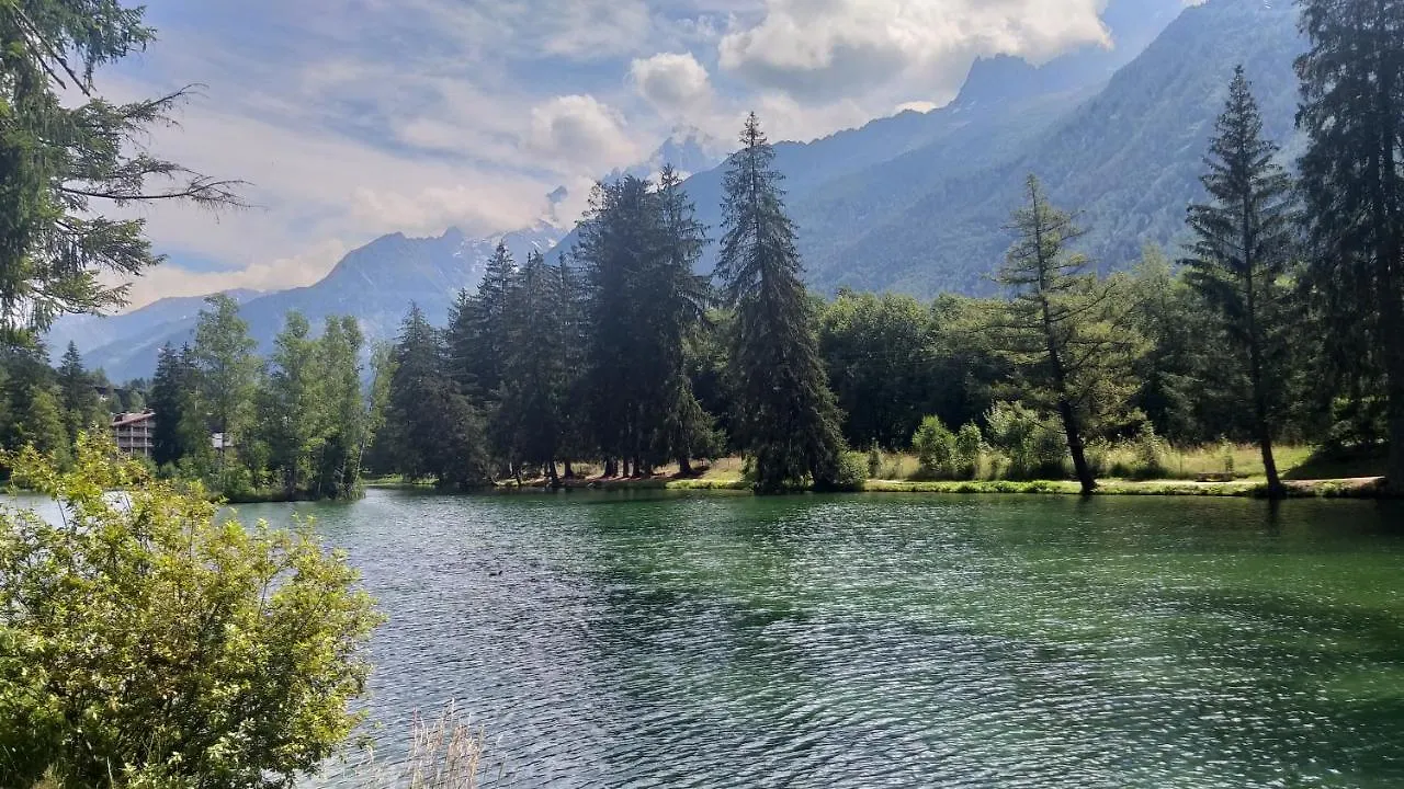Appartement studio plein sud vue Mont Blanc CHAMONIX