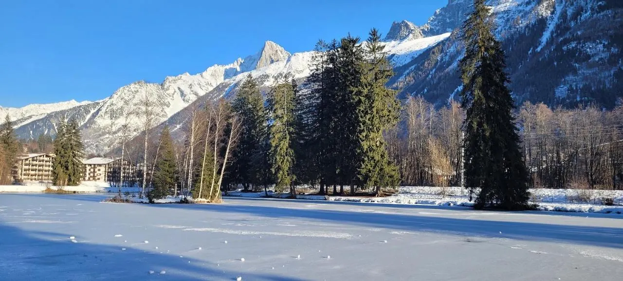Apartment Studio Plein Sud Vue Mont Blanc Chamonix